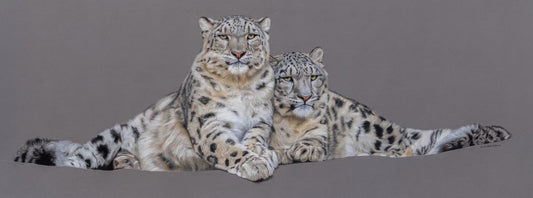 Monthly Meeting & Demo with Danielle Robertson | 1 September 2025